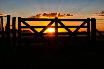 Gate with sun setting.